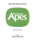 Monkeys & Apes