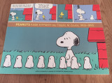 Peanuts κάθε Κυριακή του Τσαρλς Μ. Σουλτς 1993-1995