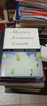 The Mystery of Economic Growth