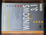 Windows 3.1