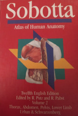 Atlas Human Anatomy V2 Latin
