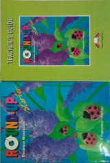 Round up starter: Grammar Workbook + Teacher's Guide: English Grammar Practice