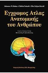 Έγχρωμος Άτλαντας Ανατομίας Του Ανθρώπου
