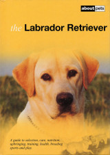 The Labrador Retriever