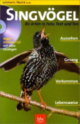 Singvögel