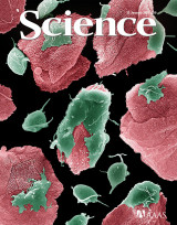 Science ,Volume 315, No5809, 12 January 2007