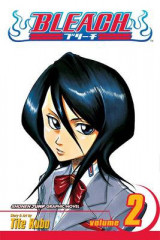 Bleach, Vol. 2 v. 2