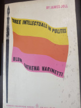 Three Intellectuals in Politics