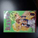 Black cat vol.7