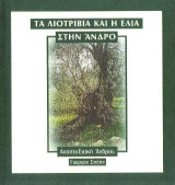 Τα λιοτρίβια και η ελιά στην Άνδρο