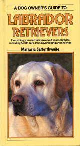 Dog Owner's Guide to Labrador Retrievers