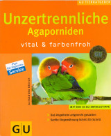 Unzertrennliche Agaporniden vital & farbenfroh