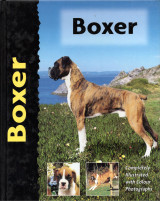 Boxer (Μπόξερ)