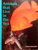Animals that Live in the Sea