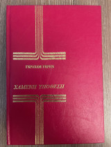 Χαμένη Υπόθεση