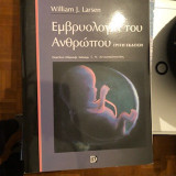 Εμβρυολογία του ανθρώπου