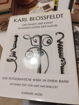 Karl Blossfeldt Urformen der Kunst Wundergarten der natur