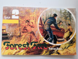 Forest Fire