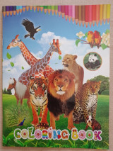 Colouring book