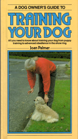 A Dog Owner's Guide to Training Your Dog