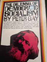 The dilemma of democratic socialism