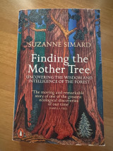 Finding the Mother Tree