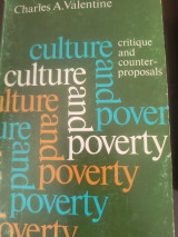 Culture and poverty