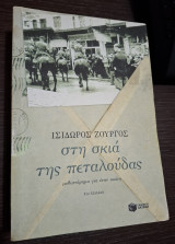 Στη σκιά της πεταλούδας: Μυθιστόρημα για έναν αιώνα