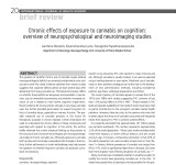 Chronic effects of exposure to cannabis on cognition: overview of neuropsychological and neuroimaging studies