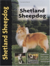 Shetland Sheepdog (Ποιμενικός των Σέτλαντ)