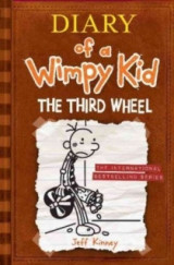 Diary of a wimpy kid 07