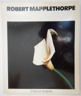 Robert Mapplethorpe - Ten by Ten