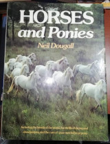 Beautiful Horses and Ponies