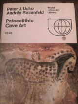 Palaeolithic cave art
