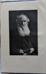 Leo Tolstoi, Gestalt und Problem