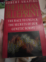 The Human Blueprint