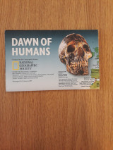 Dawn of humans