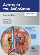 Ανατομία του Ανθρώπου