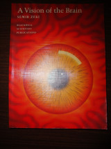 A Vision of the Brain