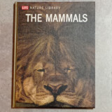 The Mammals