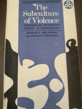 The subculture of violence