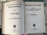 Gunzheit und Zuhl