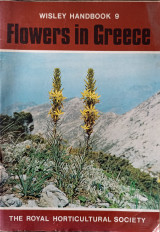 Flowers in Greece