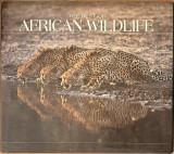 The best of African Wildlife