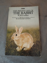 The Private Life of the Rabbit