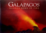 Galapangos island born of fire