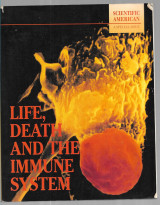 Life, Death and the Immune System