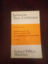 Einführung in die Rechtswissenschaft: Rechtssystem und Rechtstechnik
