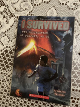 I survived: The destruction of Pompeii, AD 79
