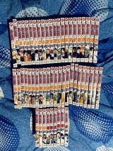 Bleach 1-54